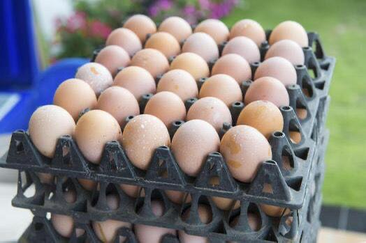 WhatsApp Image 2025-12-22 at 10.47.08 (1) WhatsApp Image 2025-12-22 at 10.47.08 (1)