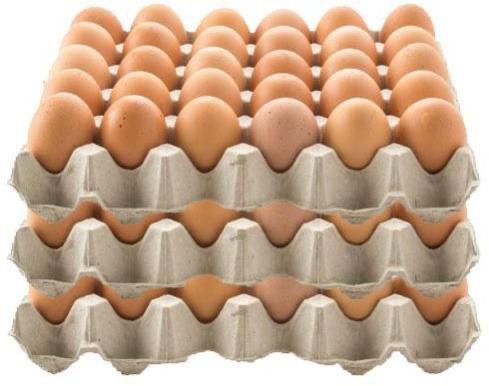 WhatsApp Image 2025-12-22 at 10.47.09 WhatsApp Image 2025-12-22 at 10.47.09